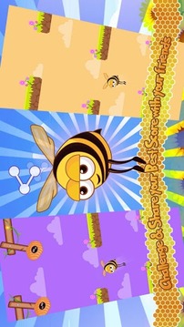 小小蜜蜂TB截图