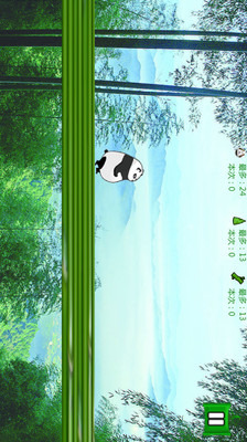 天天熊猫酷跑截图2
