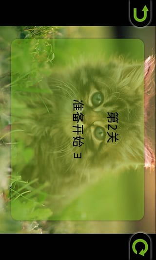 可爱小猫拼图截图3