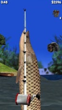 3D大河钓鱼 Big River Fishing截图