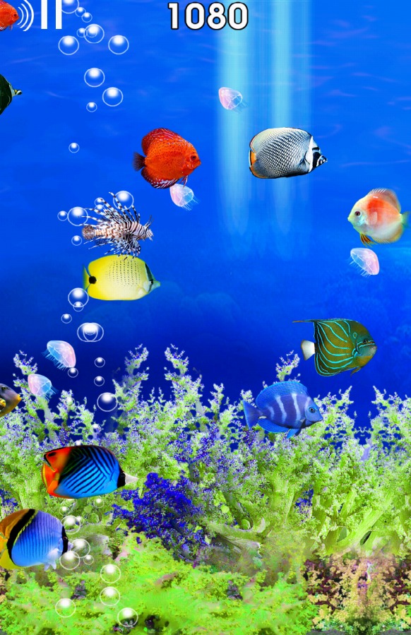 Fish Tour截图3