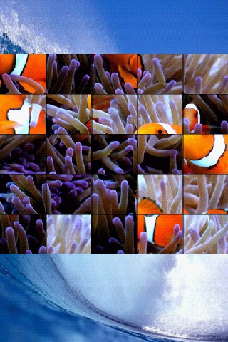 海洋生命拼图 Ocean Life Puzzle截图1