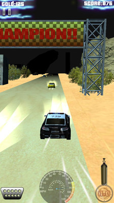 沙漠拉力赛车3D截图5