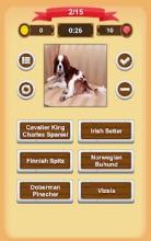 Dogs Quiz截图5