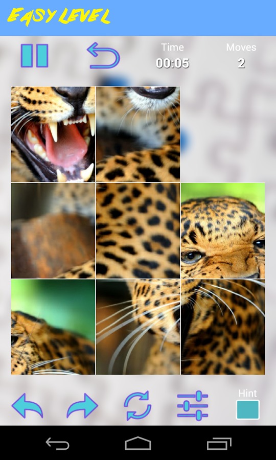 Leopard Jigsaw Puzzle截图4