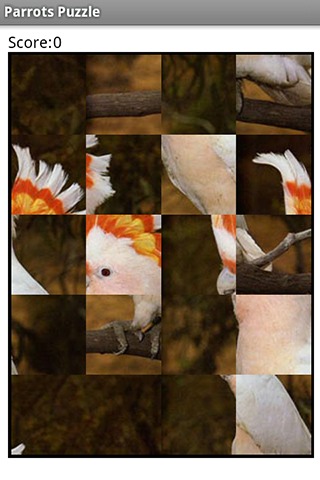 Parrots Puzzle截图2