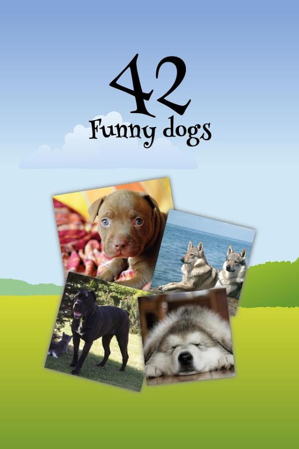 Dogs Puzzles截图5