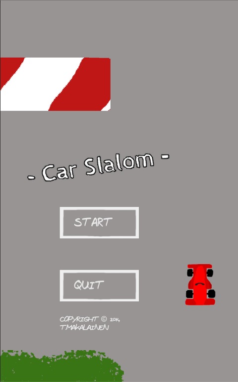 Car Slalom截图1