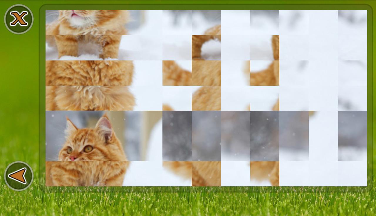 Cats Puzzle截图5