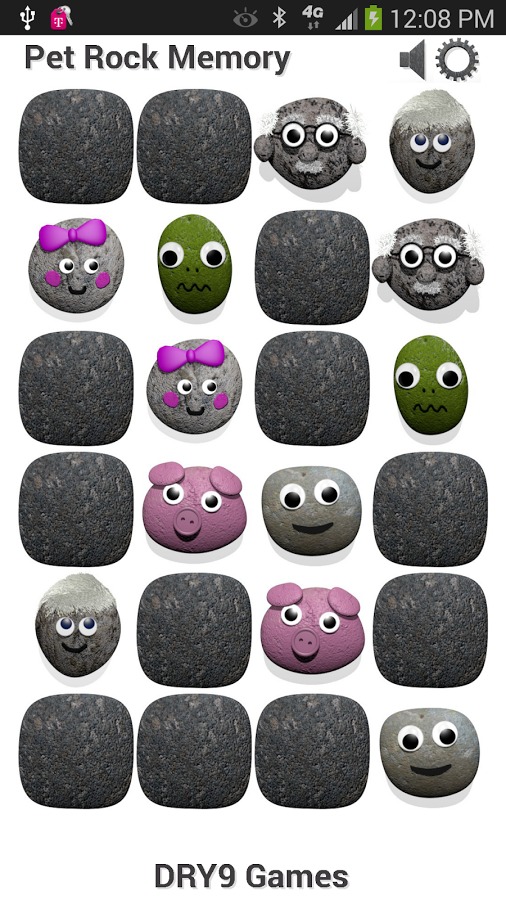 Pet Rock Memory Concentration截图2