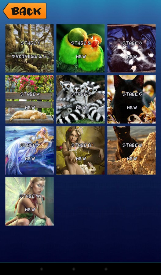 Jigsaw Puzzle Gold Collection截图1