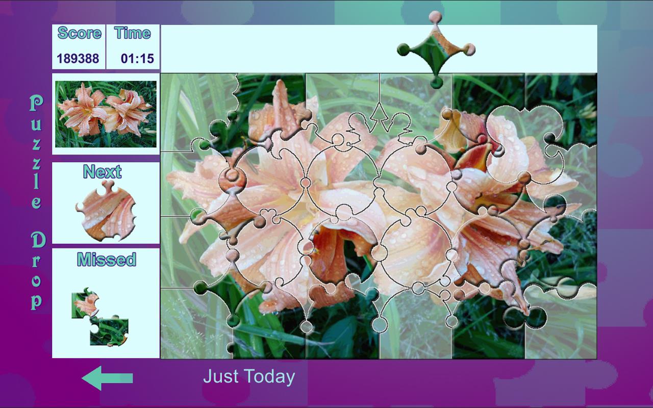 Puzzle Drop - Flower Set截图4