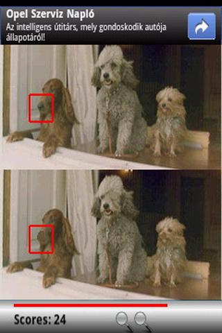 Find the Differences: Dogs截图2