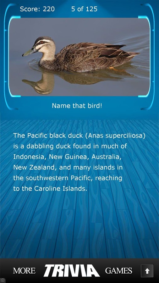 Name that Bird Trivia截图4