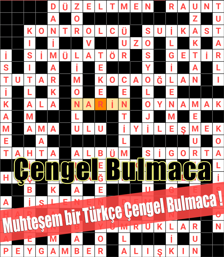 Çengel Bulmaca Türkce Kelime Oyunu截图2