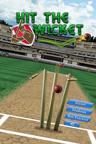 Hit The Wicket截图1