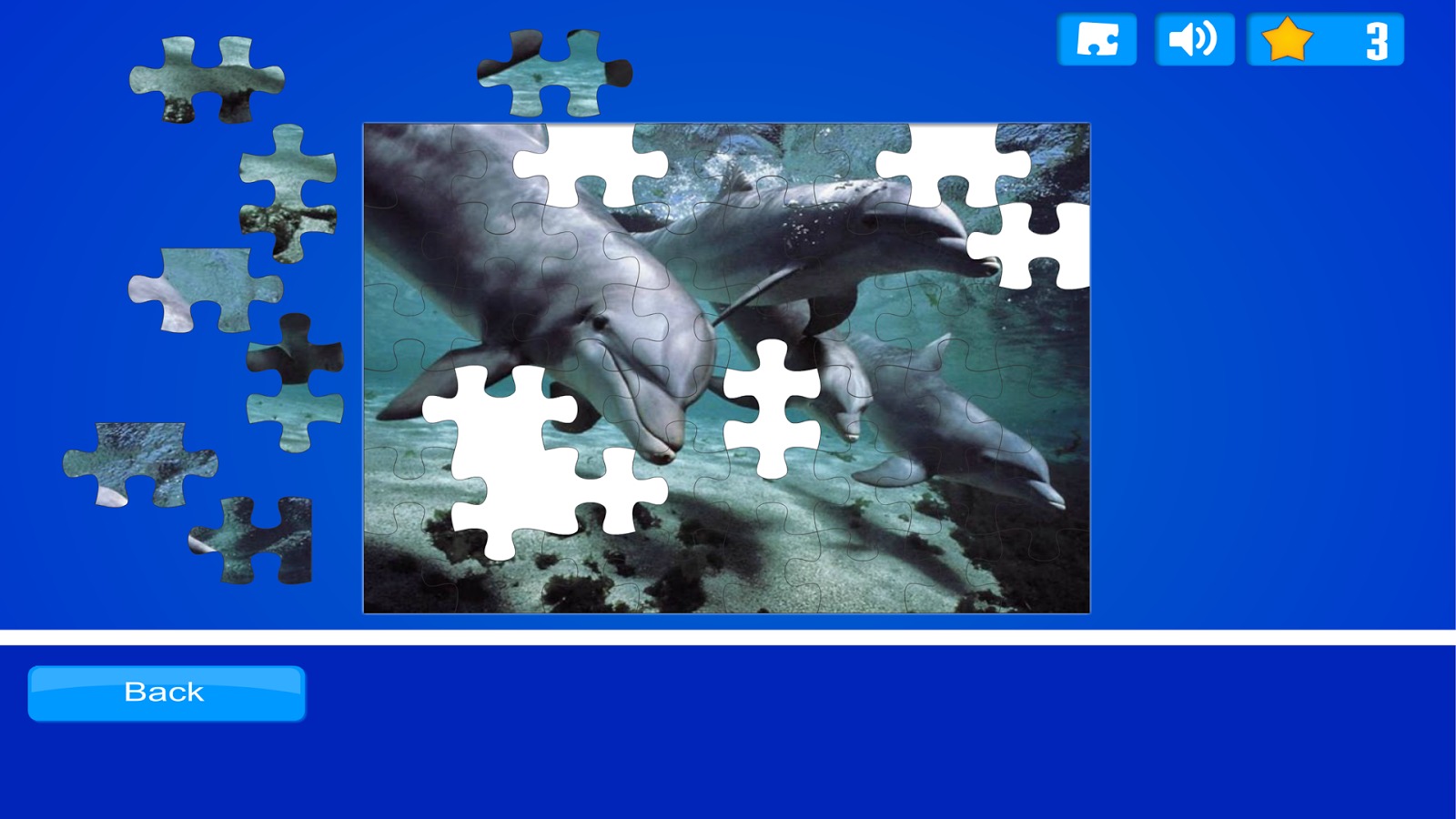 Dolphin Puzzles截图3