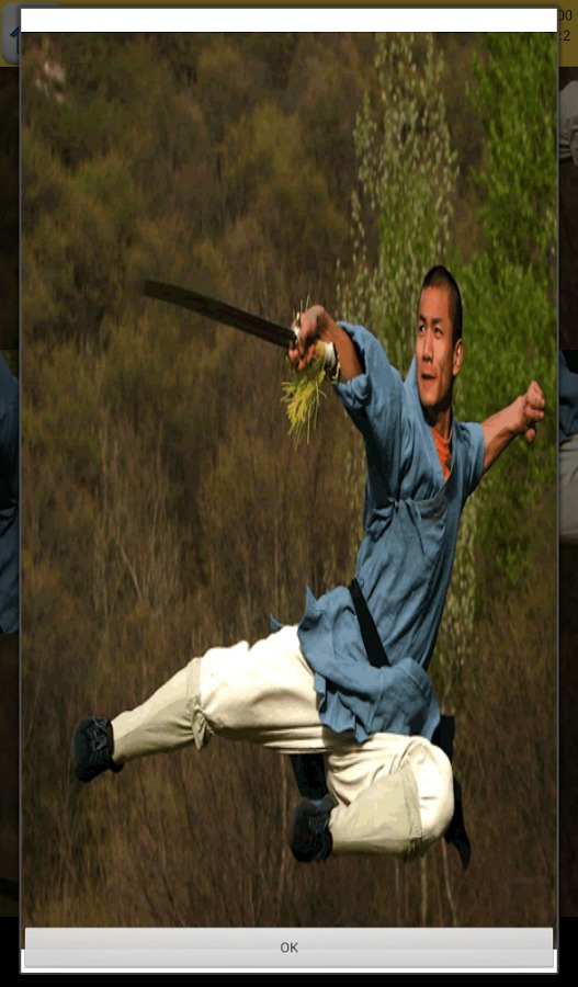 Kung Fu Games截图3