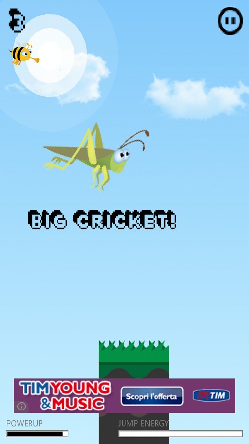 Crazy Cricket截图2