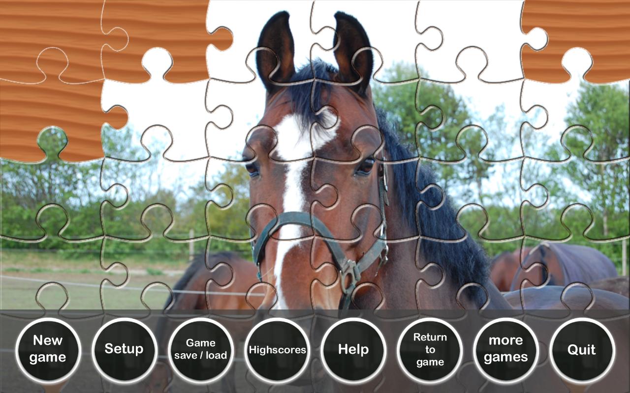 Puzzle Horses截图5