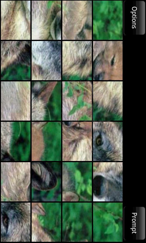 Dogs puzzle截图4