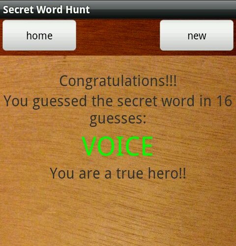 Secret Word Hunt截图2