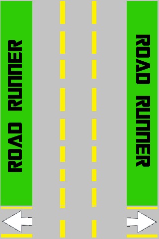 Pro Road Runner截图1