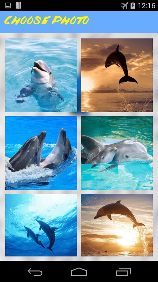 Dolphins Jigsaw Puzzle截图4