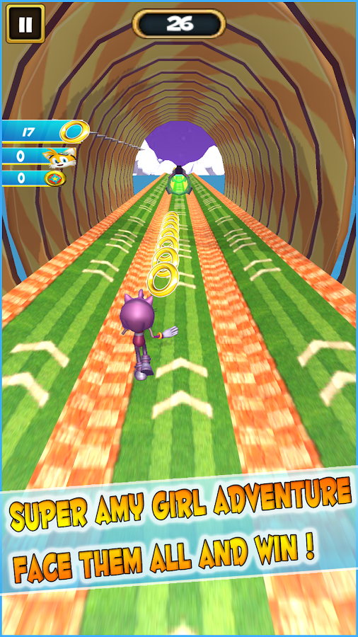 Super 2 Sonic & Friends Adventure截图3