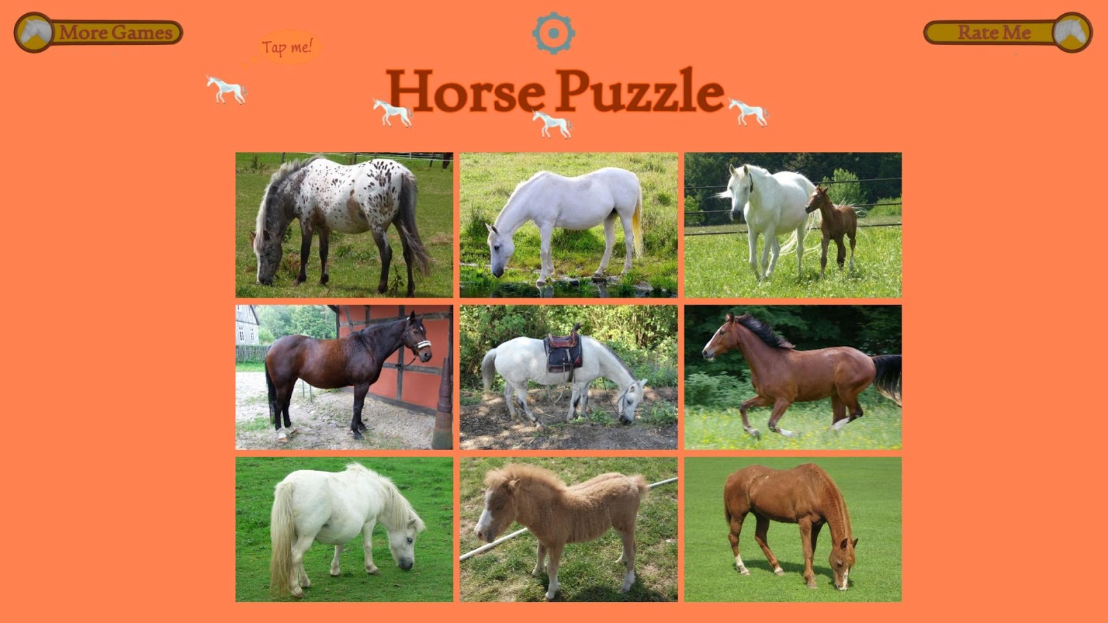 Horse Puzzle For Kids截图5