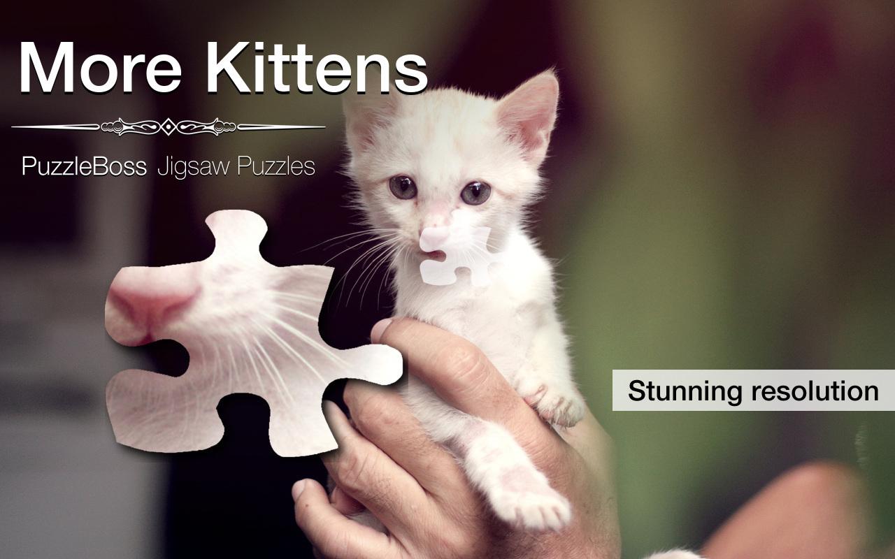 More Kitten Jigsaw Puzzles截图1