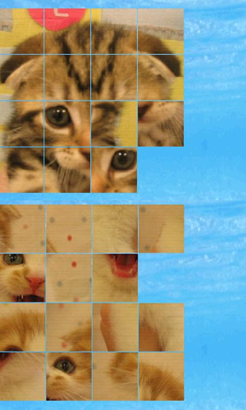 puzzle cat b(4x4)截图2