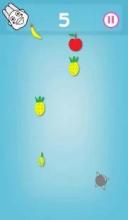 Fruit Hit截图4