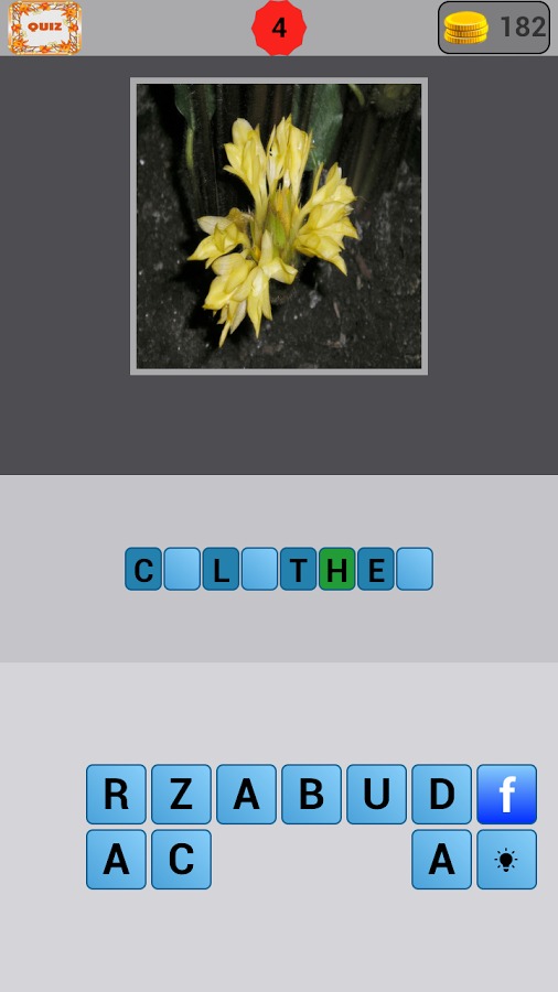 Flowers Quiz截图4