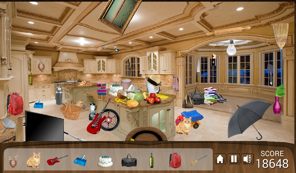 Hidden Object Messy Kitchen截图1