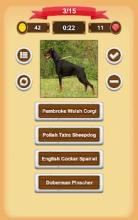 Dogs Quiz截图2