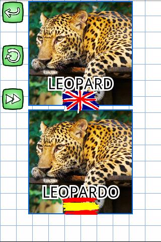 Spanish & Puzzles: Animals截图2