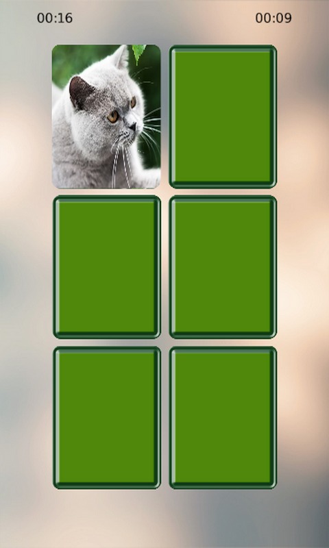 Cats Match截图1