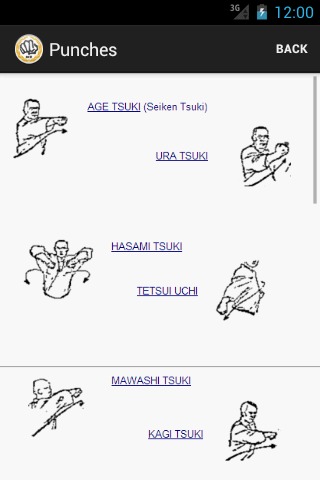 Karate Hayashi Ha截图4