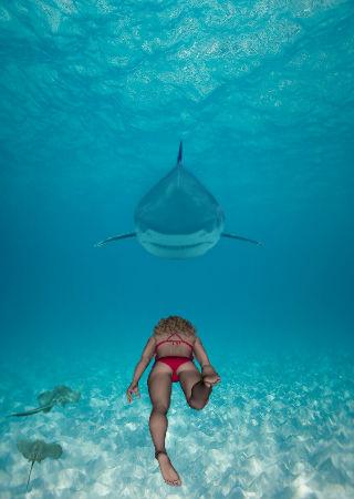 SHARK ADVENTURE截图3