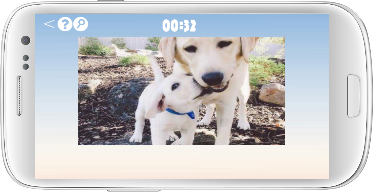 Labrador Retriever Dog Puzzle截图3