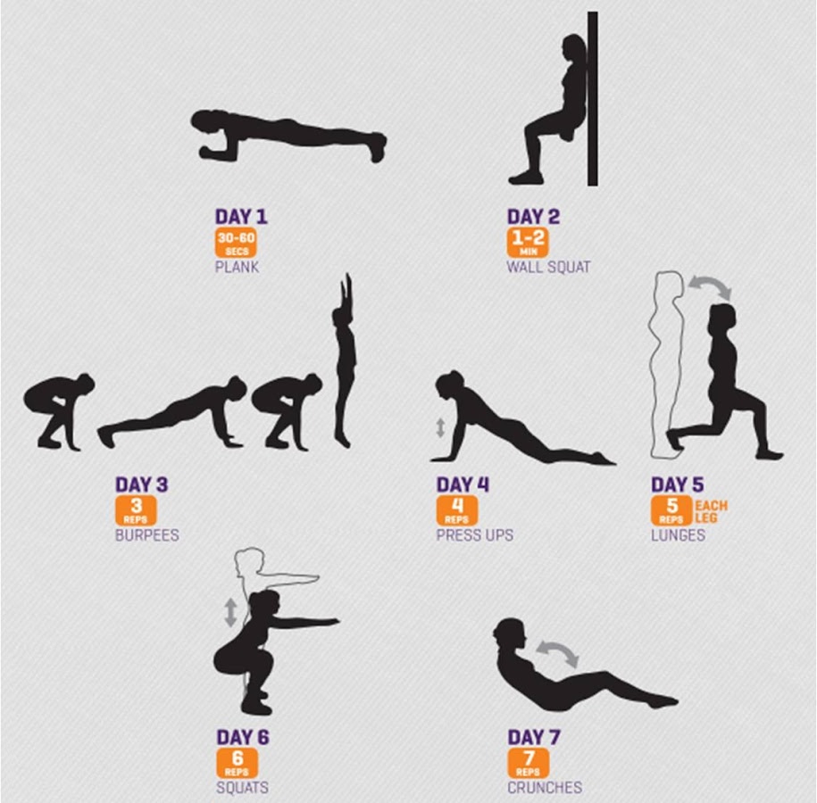 Home Workout截图3