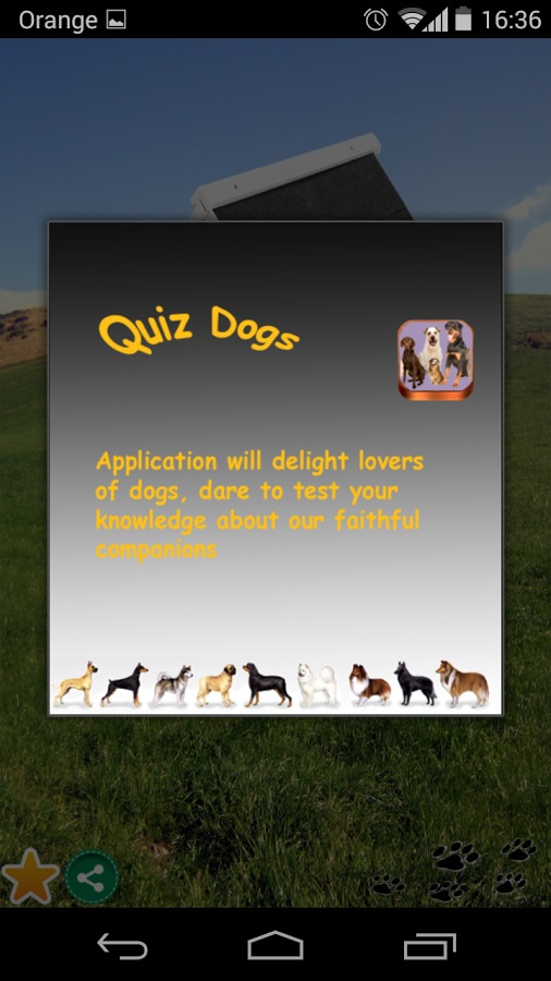 Quiz dogs截图3