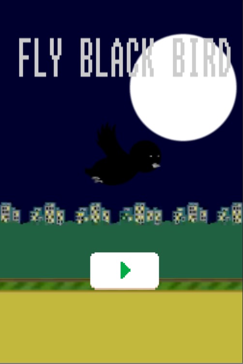 Fly Black Bird截图1