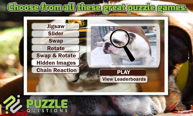 Free Bulldog Puzzle Games截图1