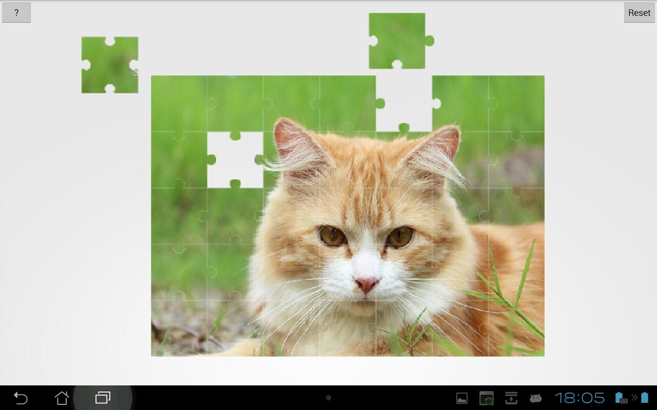 Cats and Kittens Jigsaw Puzzle截图2