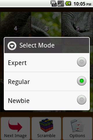 Monkey Puzzle截图4