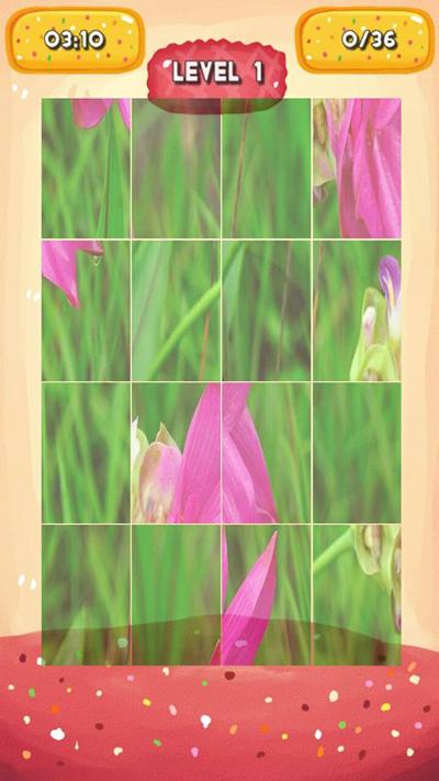 Siam Tulip Jigsaw Puzzles截图4