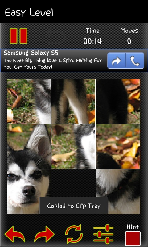 Sliding Dog Puzzles截图5