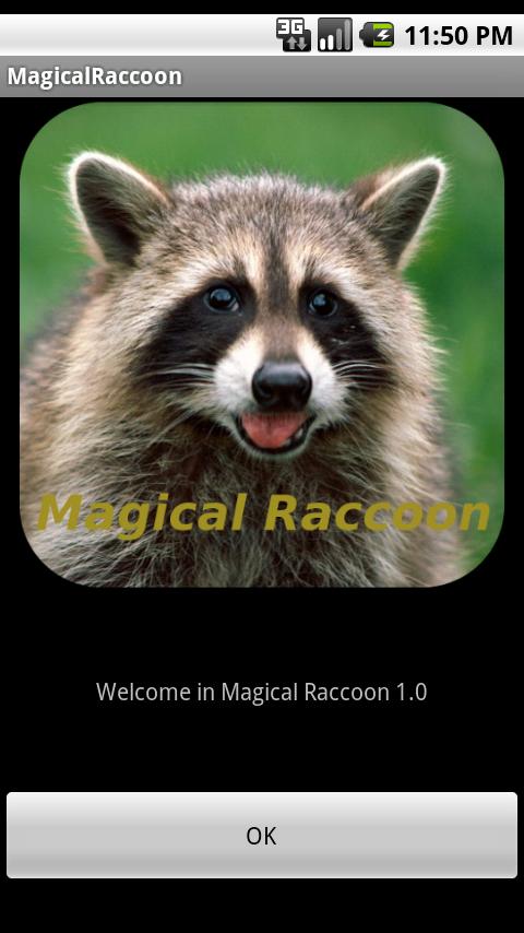 Magical Raccoon截图1